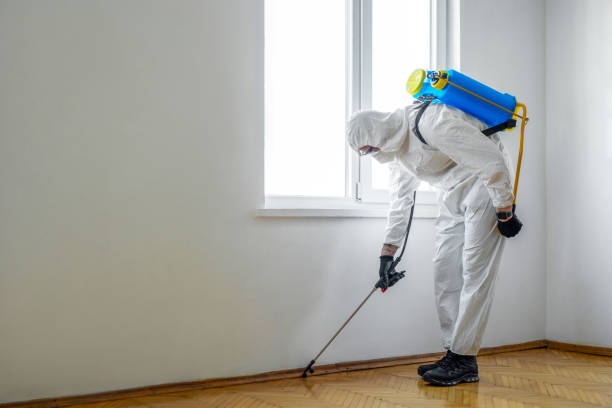 Best Emergency Pest Control  in Oak Ridge North, TX