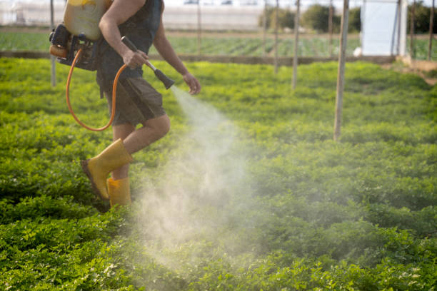 Professional Pest Control in Oak Ridge North, TX