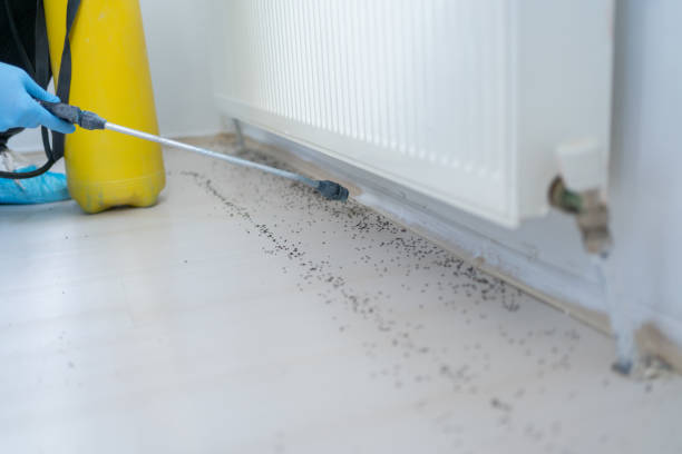 Best Affordable Pest Control Services  in Oak Ridge North, TX